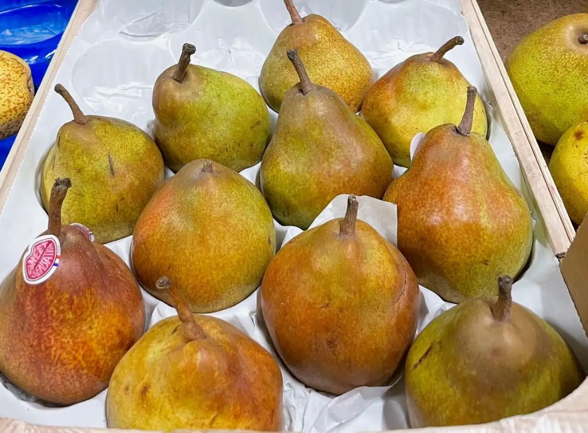 Poire Sweet Sensation