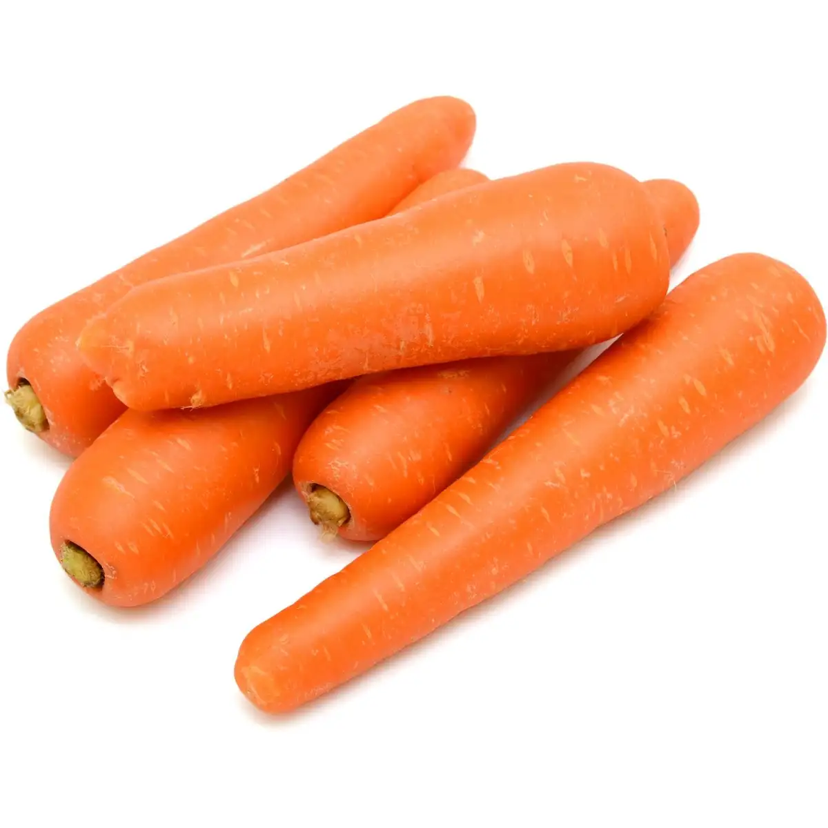 Carottes